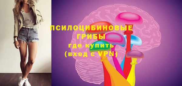 Альфа ПВП Кулебаки