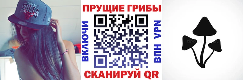 Купить где  Серпухов  Псилоцибиновые грибы Psilocybe 